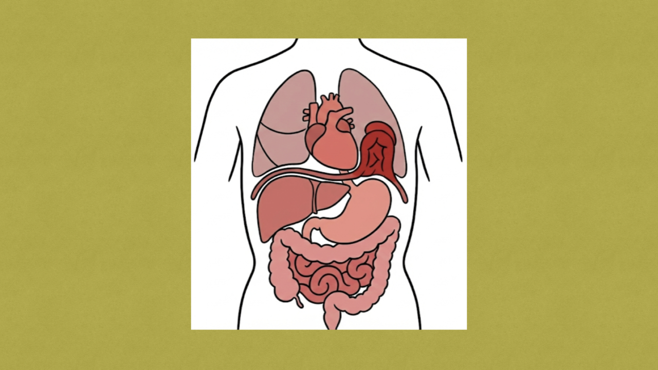 Congenital Diaphragmatic Hernia